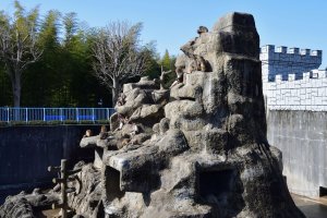 Monkey Mountain at Ichikawa City Zoo